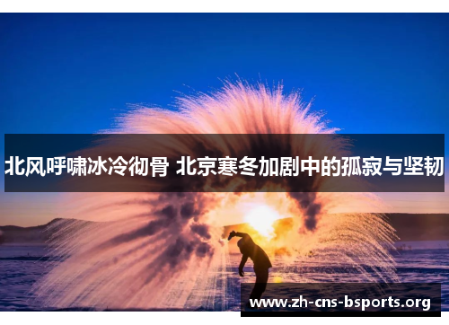北风呼啸冰冷彻骨 北京寒冬加剧中的孤寂与坚韧 北风呼啸冰冷彻骨 北京寒冬加剧中的孤寂与坚韧