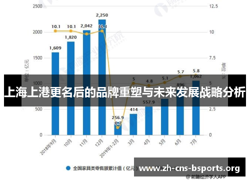 上海上港更名后的品牌重塑与未来发展战略分析